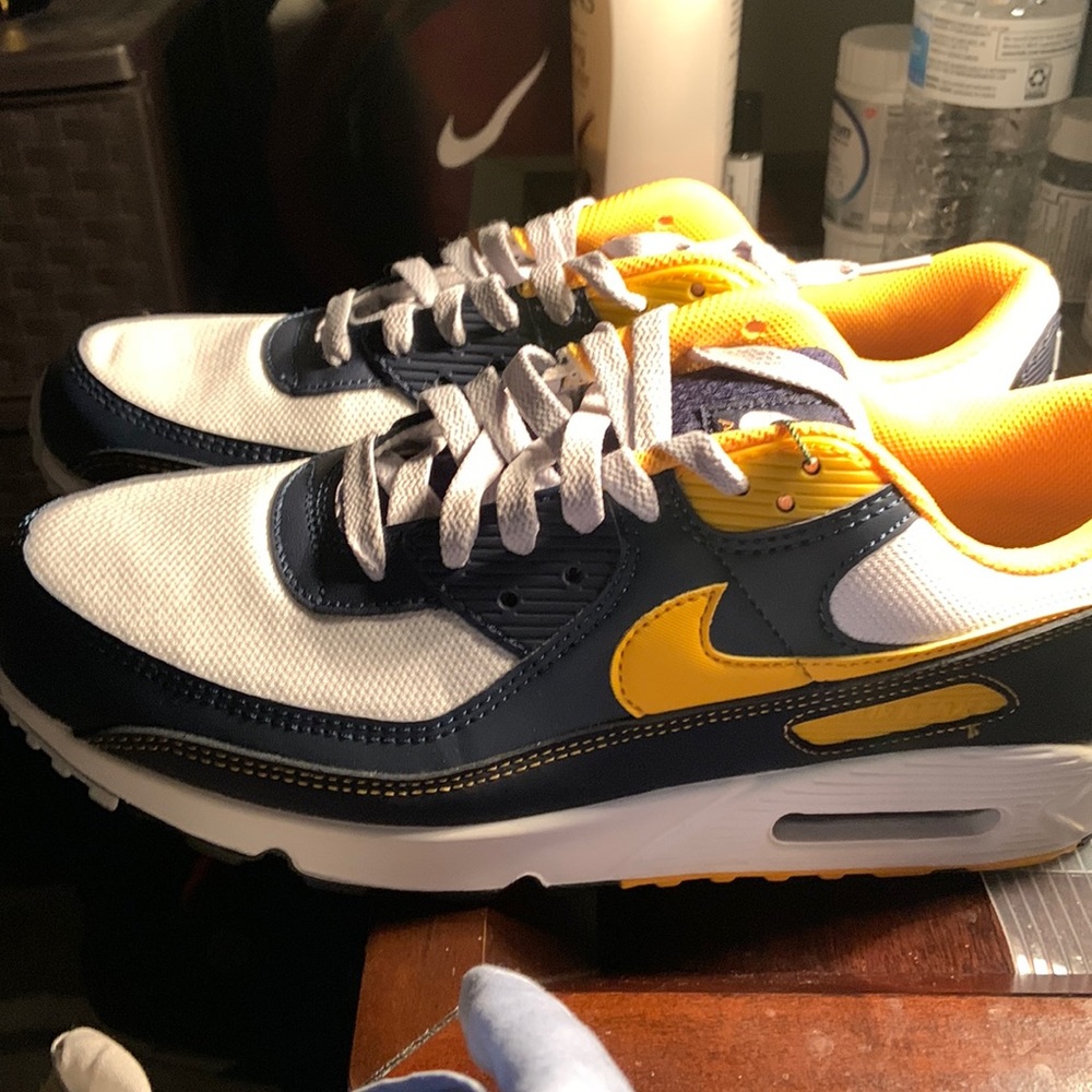 Nike Michigan Air Max 90